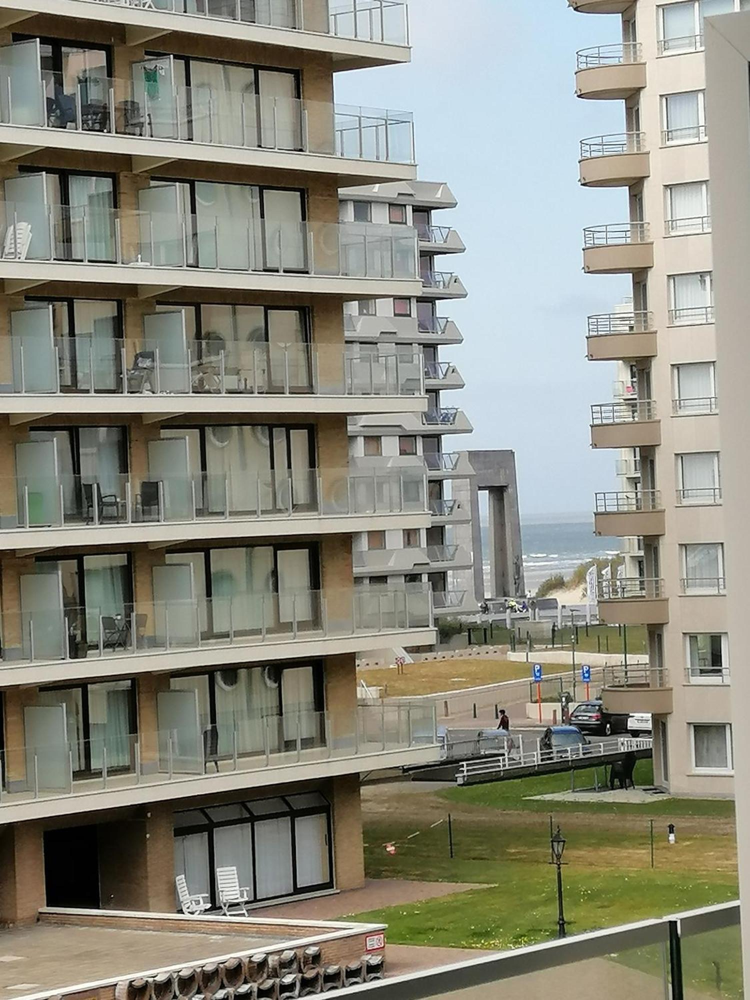 Zee En Strand De Panne Exteriér fotografie